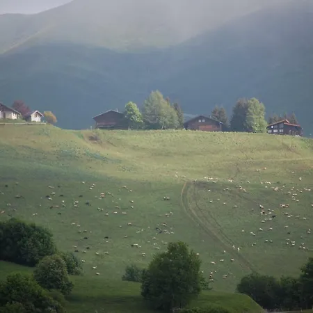 Résidence Les Pistes Le Corbier