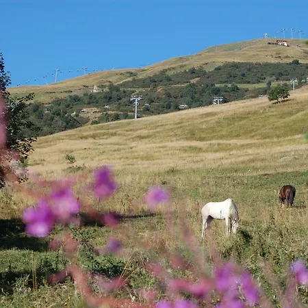 Les Pistes * Le Corbier